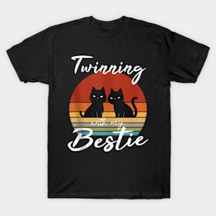 Bestie Friendship Sunset Cat Lover T-Shirt